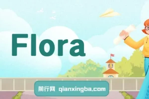 Flora实战课：角色设计+分镜脚本+视频生成，一条龙玩转AI创意