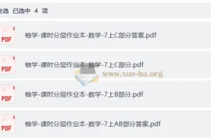 初中数学 7年级课时分层作业本