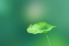 历史存在本体论精讲：6节视频+音频课