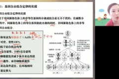 2025高考生物二轮复习：马阳洋专题精讲+真题突破