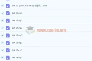 《十天搞定四级词汇：便携版》音频