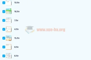 刘飞飞 2021秋 初三中考英语目标A+16讲带讲义完结