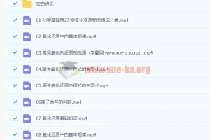 李政化学 2024高三高考 一轮暑假班