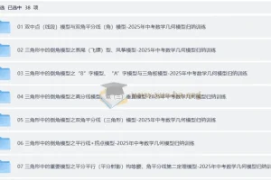 2024-2025中考数学-几何模型归纳训练（全国通用）