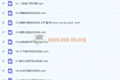 2021高一化学 康永明 秋季课【完结】