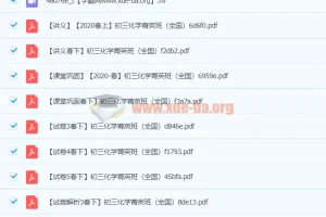 2020春 初三化学 陈谭飞