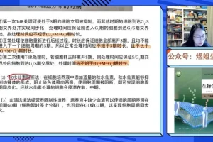 2024高一生物必修一系统课：煜姐精讲+题型突破