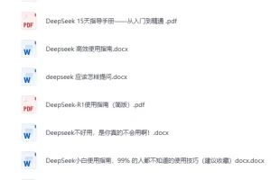 《DeepSeek全系资源：使用指南+提示词秘籍+本地部署》[PDF]