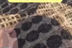 李鲆短视频带货实战指南：从入门到爆单