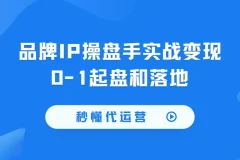 秒懂代运营：品牌IP操盘手实战变现0-1起盘和落地