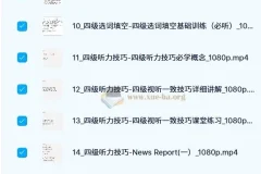 邹老师 大学英语 四级 听阅精品课程 187节