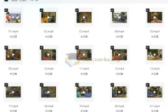 走遍美国学口语中文讲解版+原版中英字幕(中级-高中) (视频+音频+笔记)