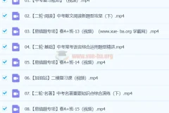 杨荷 2024初三中考语文视频课程 A+春季班（下）