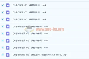 爱上语文 古代六大名著解读26讲完结