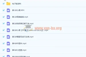李鑫 小学二年级语文寒假直播班 7讲带讲义完结