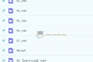 【2023寒春】四年级 小学语文 张弛 A+