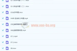 杜春雨 2021春 初三物理直播菁英班14讲带讲义