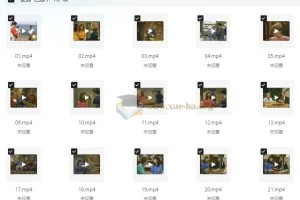 走遍美国学口语中文讲解版+原版中英字幕(中级-高中) (视频+音频+笔记)