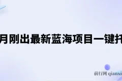 五月刚出最新蓝海项目一键托管 ，躺赚收益分成 日产无上限