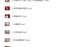 20套家庭面食面点私房视频课程