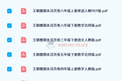 王朝霞期末活页卷 1-6年级