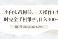小白实战搬砖，一天操作1小时完全手机维护，日入300+