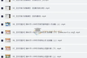 北大派派小学语文高分大招课