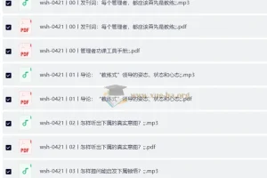 吴士宏 教练式领导力 （完结）