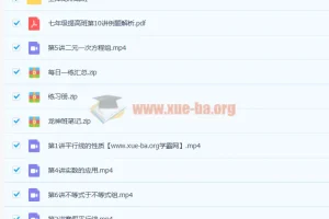 王泽龙 2020寒 初一寒假数学系统班 7讲完结带讲义