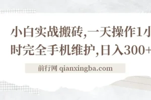 小白实战搬砖，一天操作1小时完全手机维护，日入300+