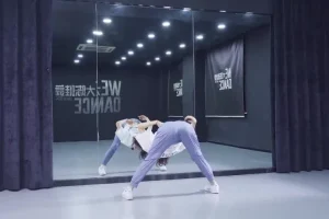 大陈爵士舞系统课：347节初中高全阶训练+热门舞段教学