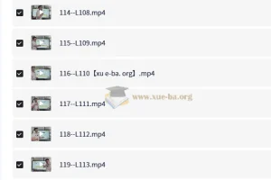 琦哥 314记忆法记单词
