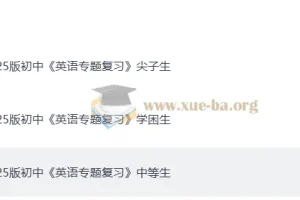 2025 初中英语 专题复习 学困生+中等生+尖子生（英语）