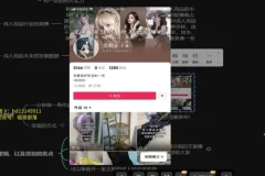 成人用品电商创业指南：新手月入数万秘籍