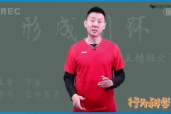 陈金羽毛球教学全集：从入门到高手实战技巧