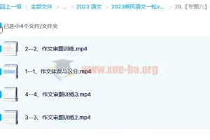 【2023乘风语文】一轮vip系统录播班 更新专题六