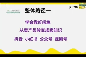 闲鱼无货源电商实战：零基础到月入1.5万