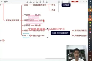 拼多多运营实战技巧：爆款打造与流量优化