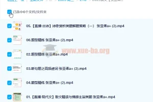 2023高考语文 张亚柔语文 a+一轮复习暑假班 秋季班更新6讲