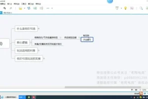 2023拼多多运营：15套独家技术实战指南