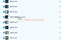 日系人像摄影私教课 20课时完结