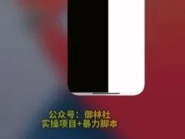 手机视频搬运：轻松过原创上热门