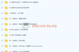 2024高三高考政治 刘勖雯 一轮