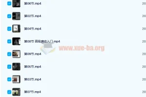 日系人像摄影私教课 20课时完结