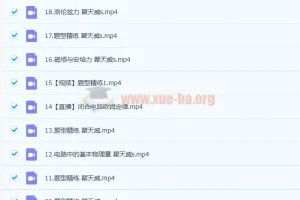 2023高二物理 蔺天威 s暑假班 更新19讲