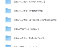 《零基础极简JAVA学习专题》（价值2382元）[MP4]