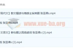 2023高考语文 张亚柔 s一轮复习 暑假班 秋季班更新4讲