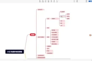 小红书虚拟电商运营实战：从0到1快速入门