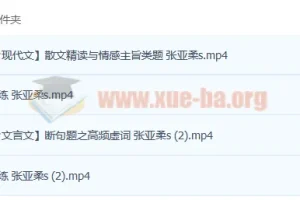 2023高考语文 张亚柔 s一轮复习 暑假班 秋季班更新4讲