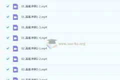 周洋鑫 考研数学 阶段3 核心考点高能冲刺（冲刺班）